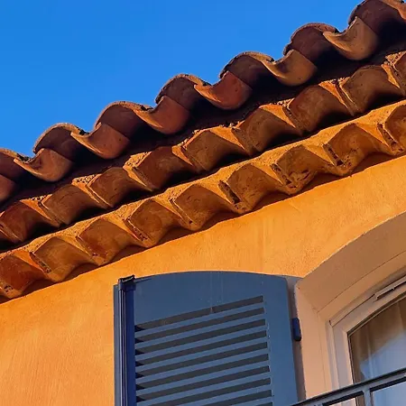One Palm * Grimaud