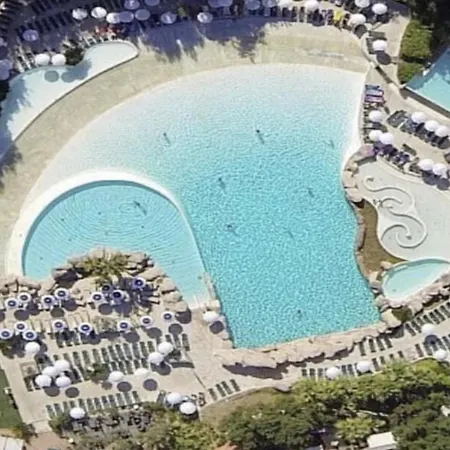 One Palm Grimaud