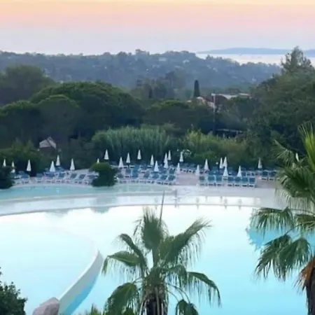 One Palm * Grimaud
